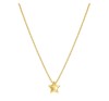 Nomination Armonica Gold Star Necklace