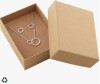 Pilgrim Giftset Viviane Silver Necklace & Earrings