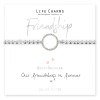 Life Charms Our Friendship Is Forever Bracelet