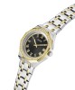 Guess Ladies Desire Two-Tone Watch - GW0770L4