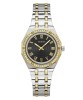 Guess Ladies Desire Two-Tone Watch - GW0770L4