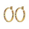 Dyrberg Kern Justina Gold Earrings - Rainbow