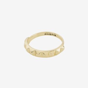 Pilgrim Ring Eaa Gold